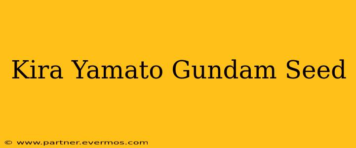 Kira Yamato Gundam Seed