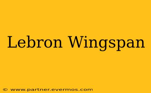 Lebron Wingspan