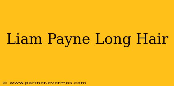 Liam Payne Long Hair
