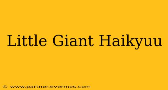 Little Giant Haikyuu