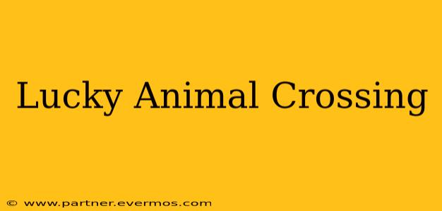 Lucky Animal Crossing