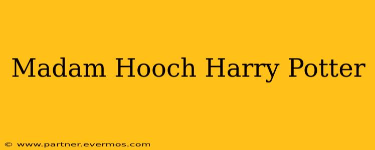 Madam Hooch Harry Potter