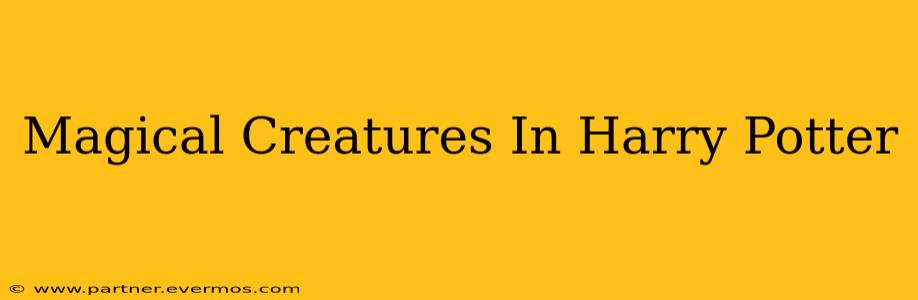 Magical Creatures In Harry Potter