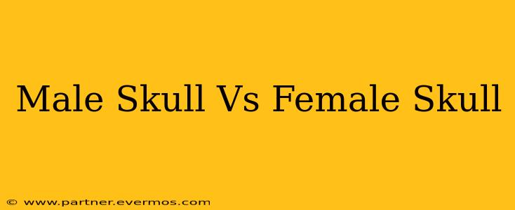 Male Skull Vs Female Skull