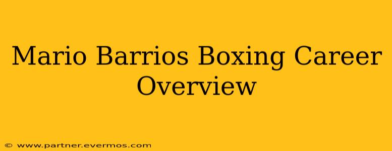 Mario Barrios Boxing Career Overview