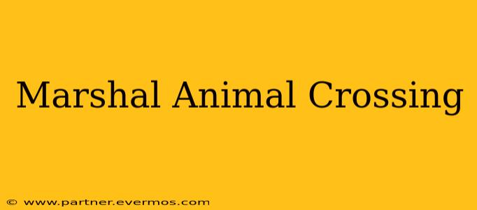 Marshal Animal Crossing