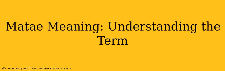 Matae Meaning: Understanding the Term
