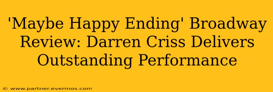 'Maybe Happy Ending' Broadway Review: Darren Criss Delivers Outstanding Performance