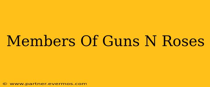 Members Of Guns N Roses