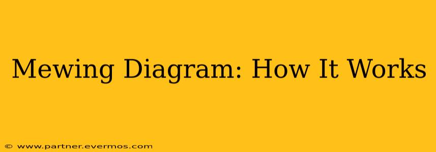 Mewing Diagram: How It Works