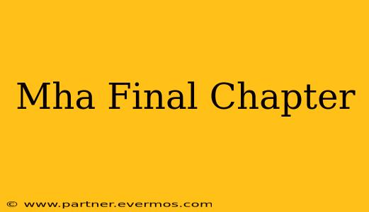 Mha Final Chapter