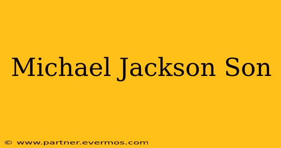 Michael Jackson Son