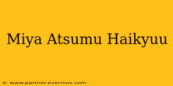 Miya Atsumu Haikyuu