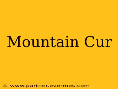 Mountain Cur