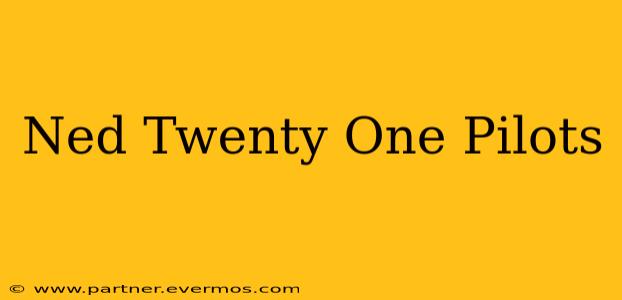 Ned Twenty One Pilots