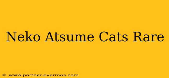 Neko Atsume Cats Rare
