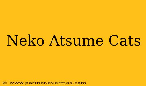 Neko Atsume Cats