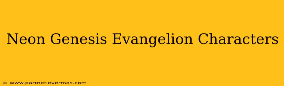 Neon Genesis Evangelion Characters