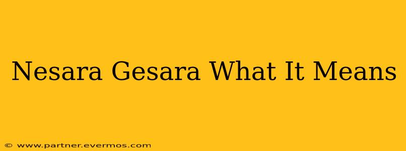Nesara Gesara What It Means