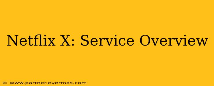 Netflix X: Service Overview