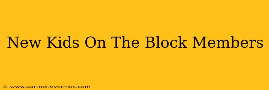 New Kids On The Block Members