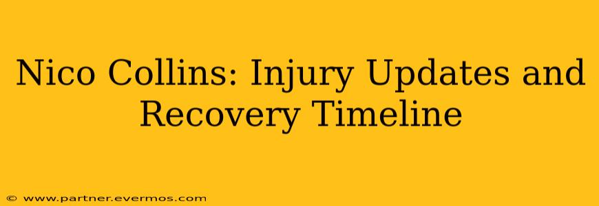 Nico Collins: Injury Updates and Recovery Timeline