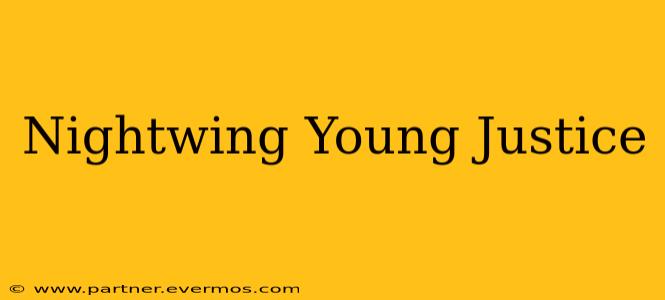 Nightwing Young Justice
