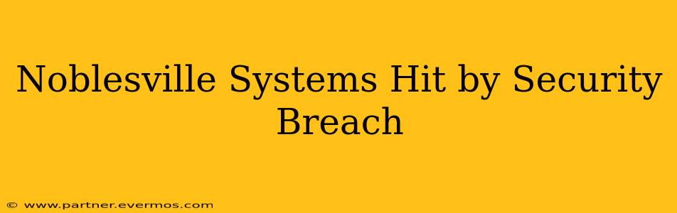 Noblesville Systems Hit by Security Breach