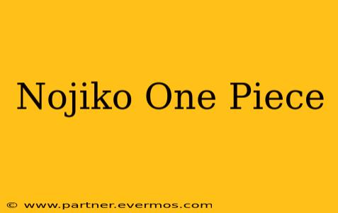 Nojiko One Piece