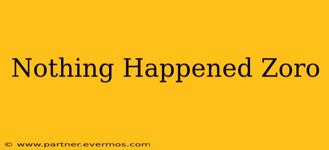 Nothing Happened Zoro