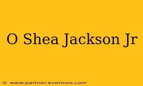 O Shea Jackson Jr