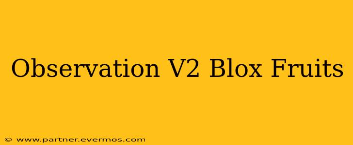 Observation V2 Blox Fruits