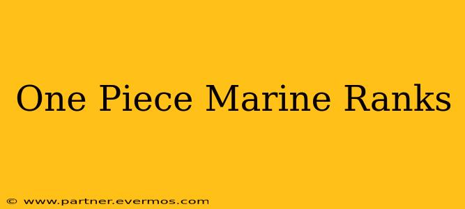 One Piece Marine Ranks