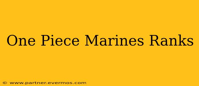 One Piece Marines Ranks
