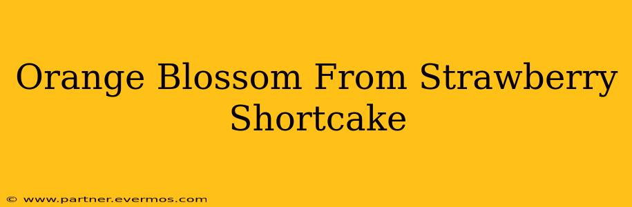 Orange Blossom From Strawberry Shortcake