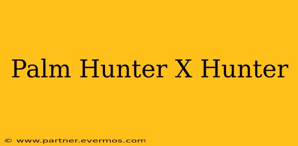 Palm Hunter X Hunter
