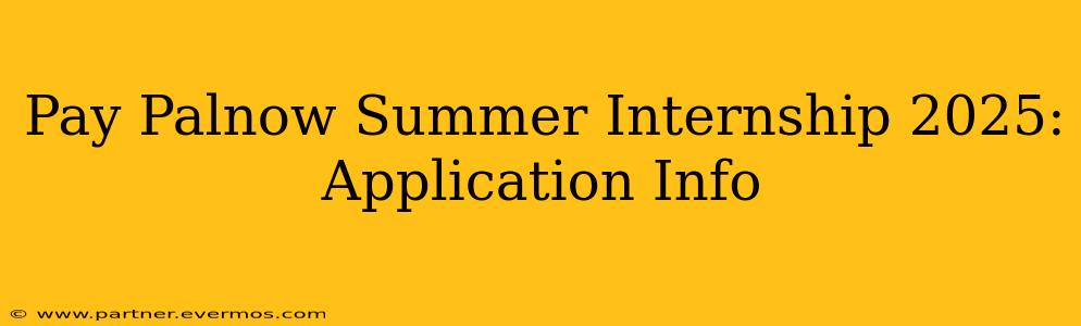 Pay Palnow Summer Internship 2025: Application Info