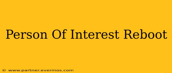 Person Of Interest Reboot