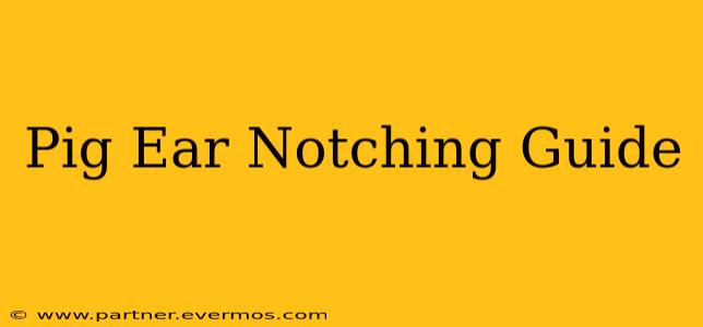 Pig Ear Notching Guide
