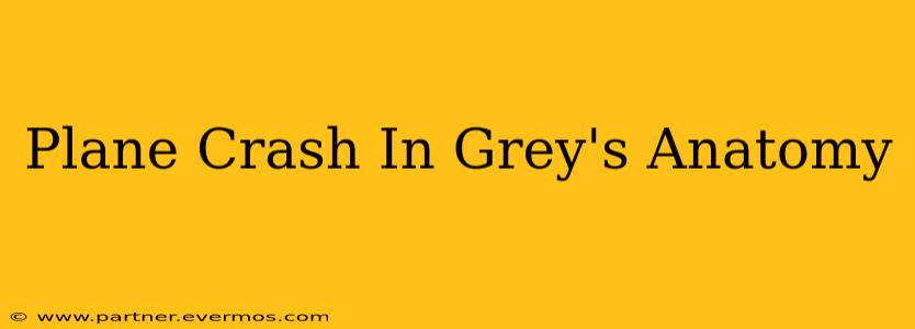 Plane Crash In Grey's Anatomy