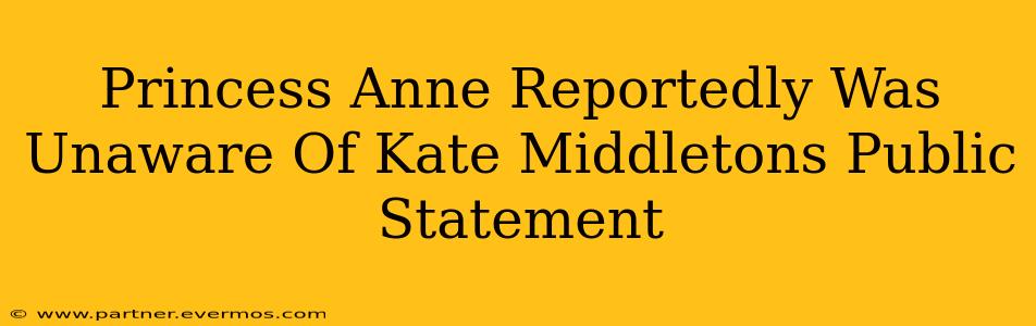 Princess Anne Reportedly Was Unaware Of Kate Middletons Public Statement