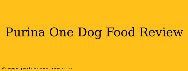 Purina One Dog Food Review
