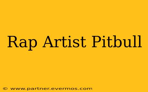 Rap Artist Pitbull