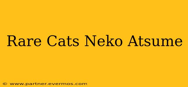 Rare Cats Neko Atsume