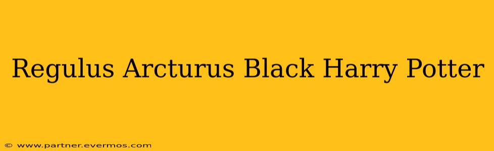 Regulus Arcturus Black Harry Potter