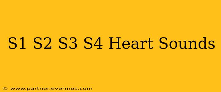 S1 S2 S3 S4 Heart Sounds