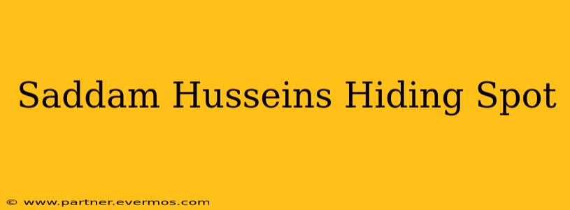 Saddam Husseins Hiding Spot