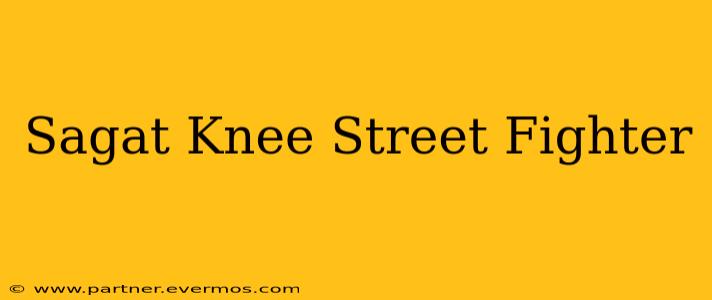 Sagat Knee Street Fighter