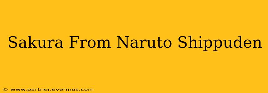 Sakura From Naruto Shippuden