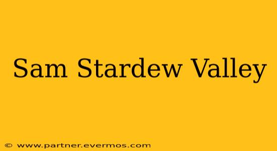 Sam Stardew Valley